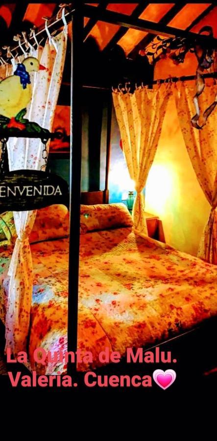 La Quinta De Malu Hotel Valeria Luaran gambar